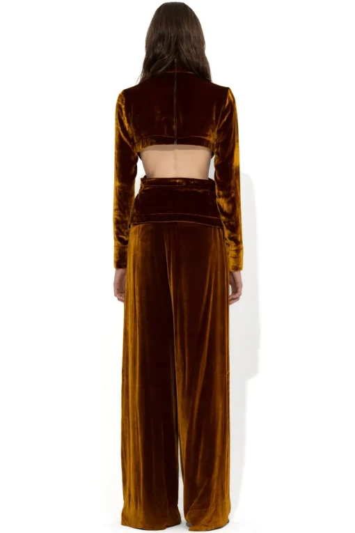 BROWN VELVET OPEN BACK TURTLENECK